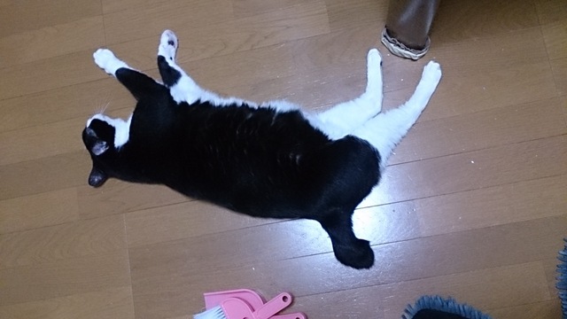 DSC_3707.jpg