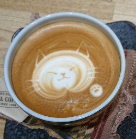 2022-02-24T16:36:23.JPG