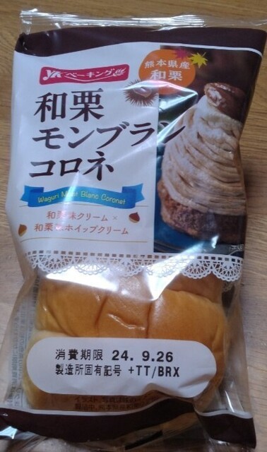 2024-11-11T20:21:18.jpg